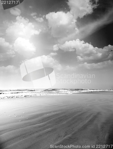 Image of Monochrome summer beach