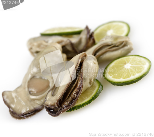 Image of Oysters