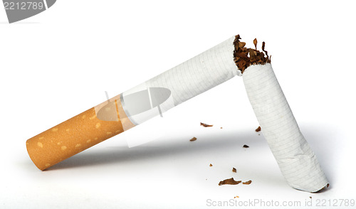 Image of Crumpled cigarette