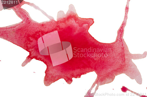 Image of Spilled paint on paper