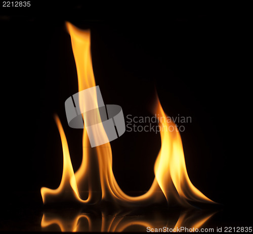 Image of Fire on a black background
