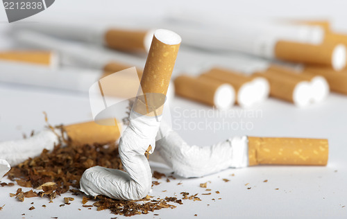 Image of Crumpled cigarette