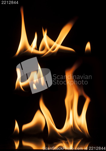 Image of Fire on a black background
