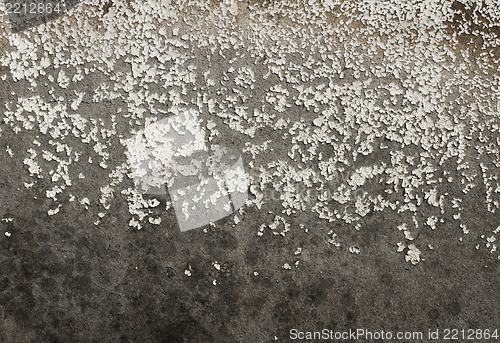 Image of Old cracked paint on boards