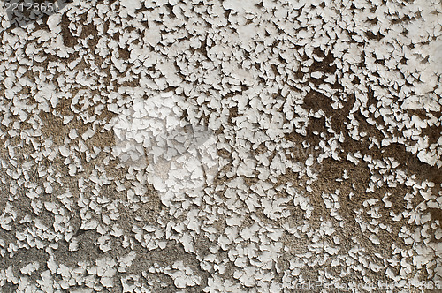 Image of Old cracked paint on boards