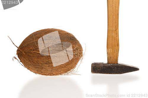 Image of Coconut and a hammer