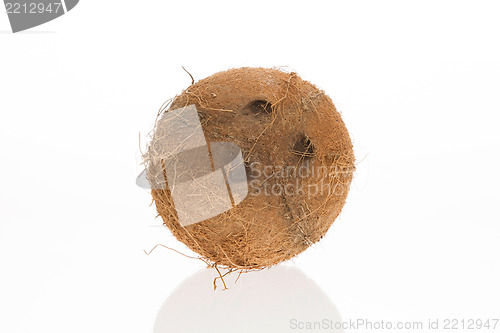 Image of Coconut with it's shade