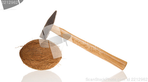 Image of Coconut and a hammer