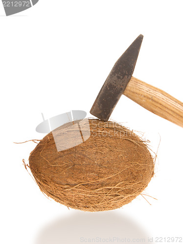 Image of Coconut and a hammer