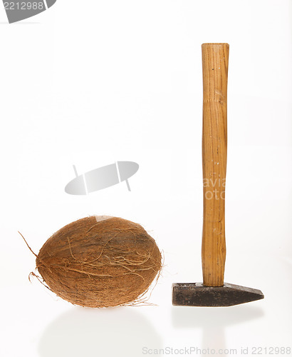 Image of Coconut and a hammer