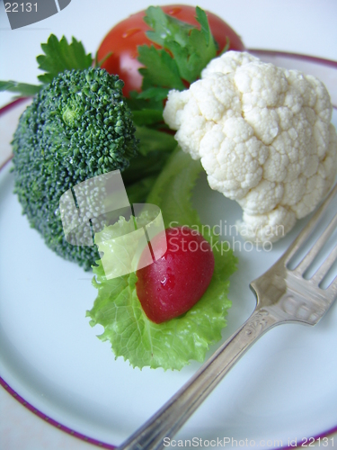 Image of Diet food