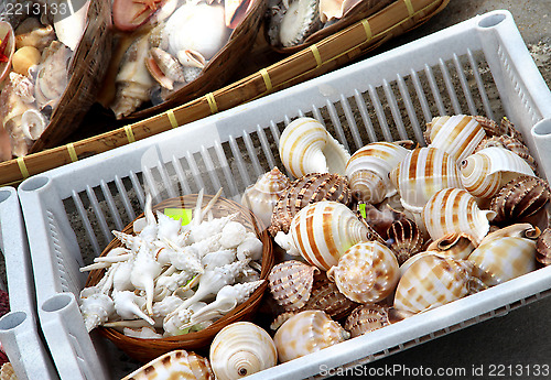 Image of Seashell market