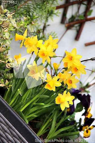 Image of Modern terrace with a lot of flowers 