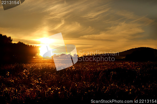 Image of Amazing sunset