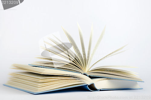 Image of Two open blue books on a light blue background