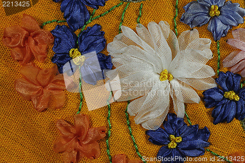 Image of Chicory and chrysanthemum