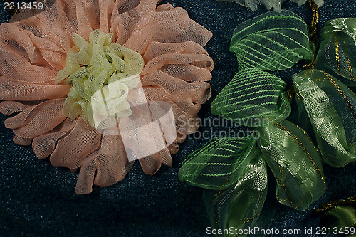 Image of Pink chrysanthemum