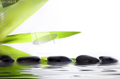 Image of Spa massage stones in water