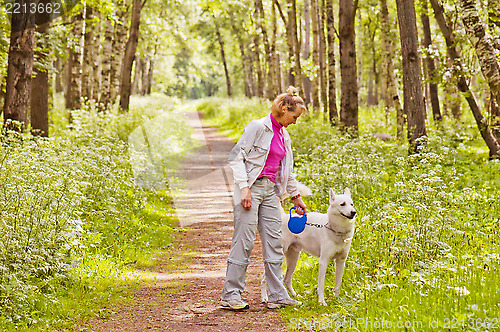 Image of The woman walks with a dog in a wood