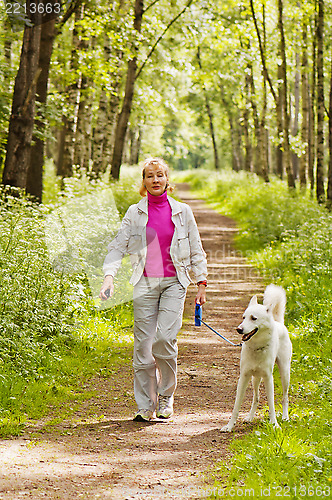 Image of The woman walks with a dog in a wood