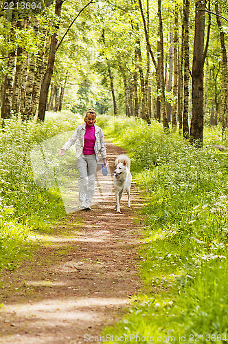 Image of The woman walks with a dog in a wood