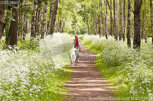 Image of The woman walks with a dog in a wood