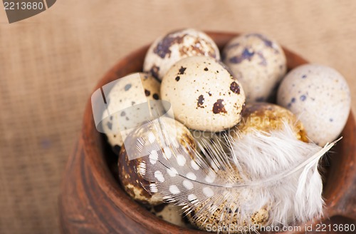 Image of Quail eggs in a jug, a feather on a canvas