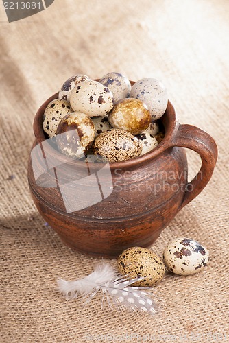Image of Quail eggs in a jug, a feather on a canvas