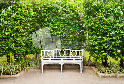 Image of White Bench