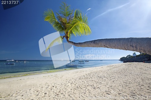 Image of Panglao Island, Bohol