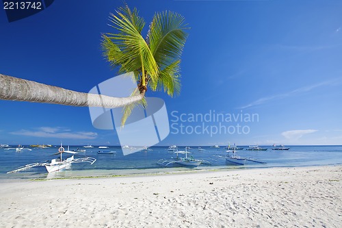 Image of Panglao Island, Bohol