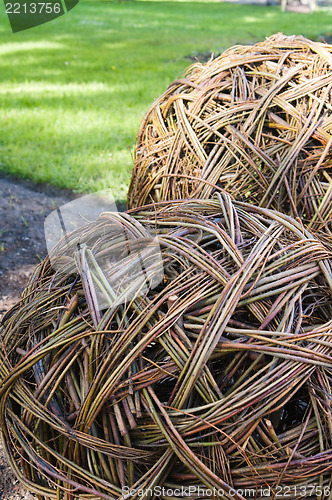 Image of Twisted willow twigs of balls for landscaping