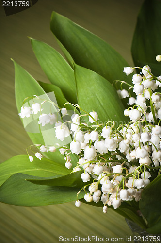 Image of Lilies of the valley, close up