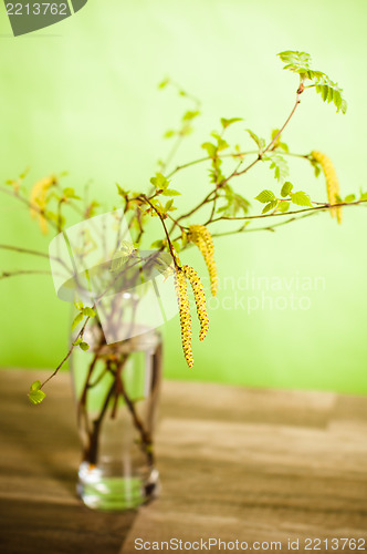 Image of  fresh branches of a birch in a glass on a table