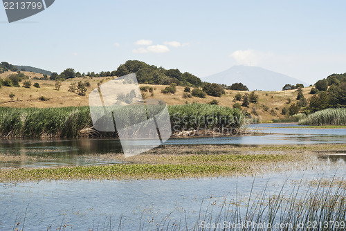 Image of Biviere lake with views of Etna