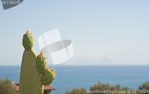 Image of Prickly pear and aeolian islands