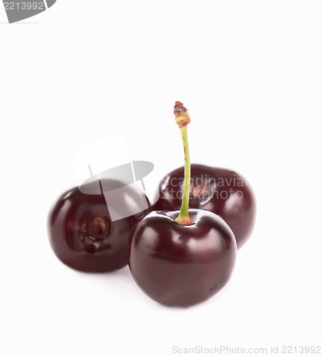Image of Red, juicy, ripe cherries