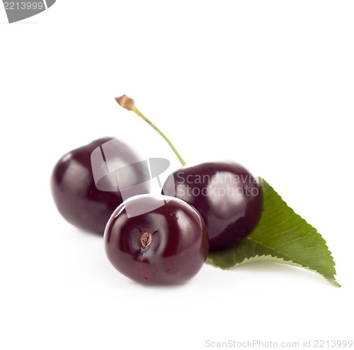 Image of Red, juicy, ripe cherries