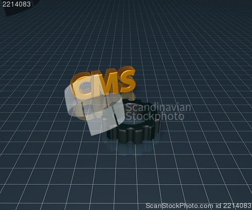 Image of cms-tag
