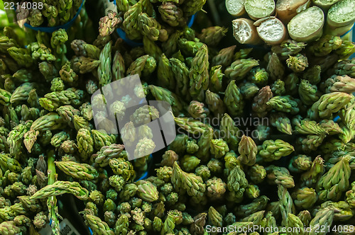 Image of Bunches of asparagus on display at the farmers market