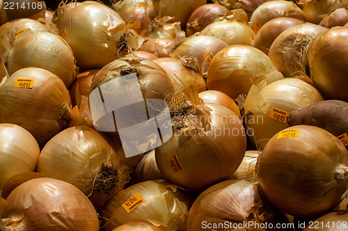 Image of Onions on Display at Farmer's Market