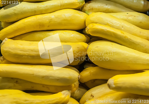 Image of squash on display at farmers market