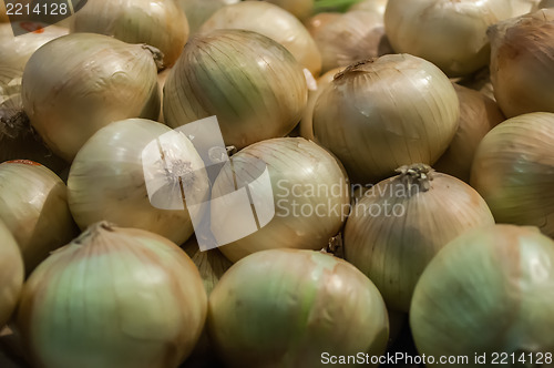 Image of Onions on Display at Farmer's Market