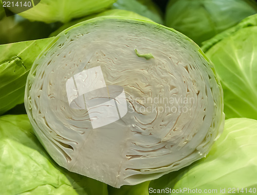 Image of cabbage on display at farmers market