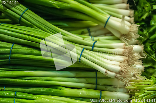 Image of onion with chives