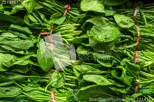 Image of fresh green leaves spinach