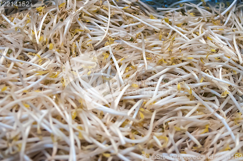 Image of sprouts on display at market