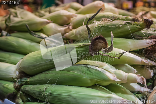 Image of corn on display at farmers market