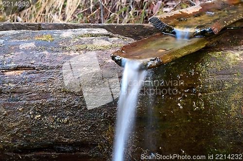 Image of wood channel at a spring