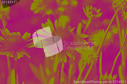 Image of Decorative flowers in the style of airbrushing -